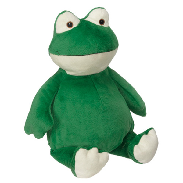 Hip Hop Froggy Buddy Questions & Answers